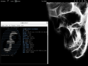  Fedora 19!